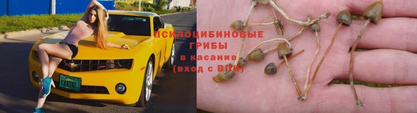 кокаин перу Богданович