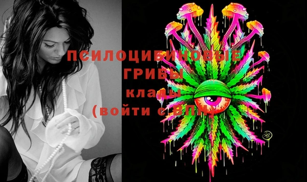spice Билибино