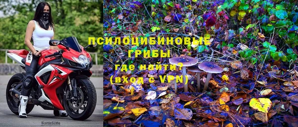 стаф Беломорск